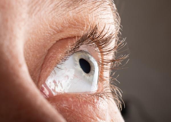 retina subtire un posibil semn pentru diabet dementa sau scleroza multipla un studiu arata legatura dintre ochi si organele interne retina subtire un posibil semn pentru diabet dementa sau scleroza multipla un studiu arata legatura dintre ochi si organele interne