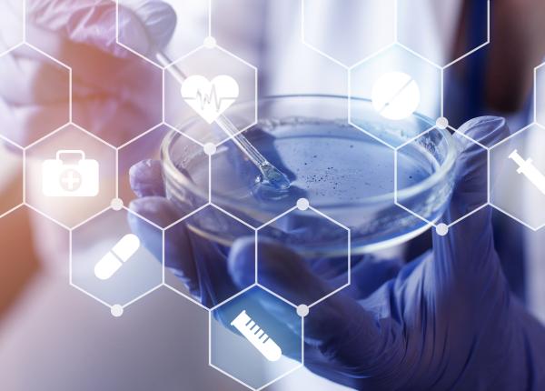 stirile zilei in farma 