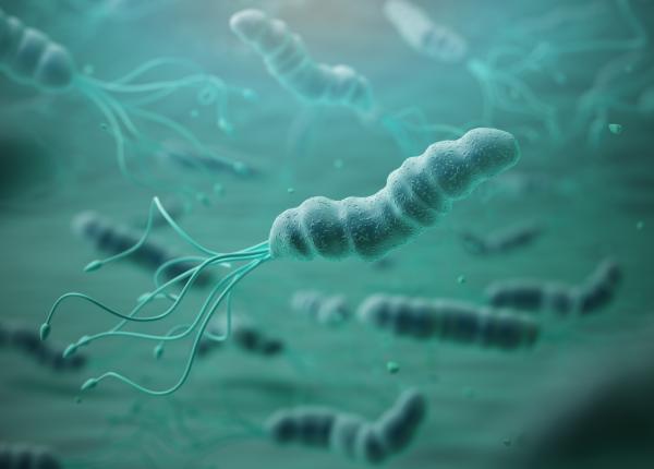 bacteria pe care 90prc dintre oameni o au in corp fara sa stie bacteria pe care 90prc dintre oameni o au in corp fara sa stie