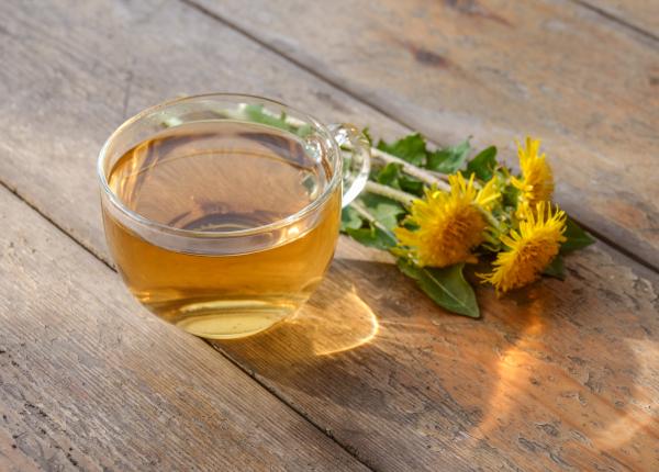 planta care iti detoxifica ficatul si iti imbunatateste digestia planta care iti detoxifica ficatul si iti imbunatateste digestia