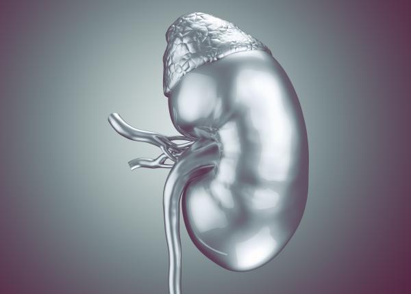 ai un chist renal scorul bosniak arata cat de avansat e dr mihai dobra spune cancer sau stai linistit e doar un chist ai un chist renal scorul bosniak arata cat de avansat e dr mihai dobra spune cancer sau stai linistit e doar un chist