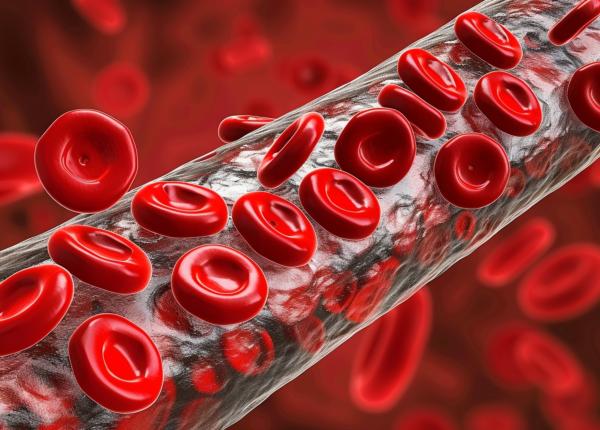 poluarea aerului asociata cu formarea cheagurilor de sange poluarea aerului asociata cu formarea cheagurilor de sange