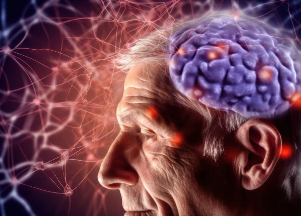 microplasticele asociate cu declinul neurologic