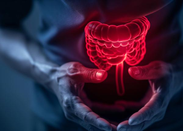 bifidobacterium bacteria benefica ce scade riscul de cancer colorectal