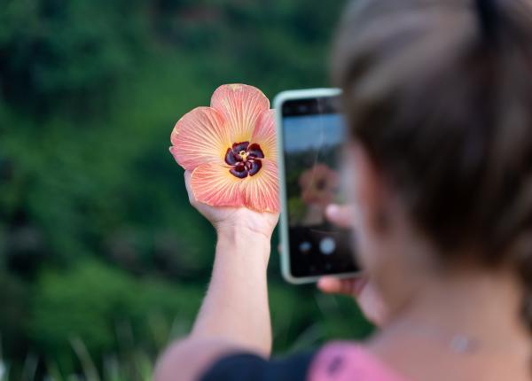 privitul naturii chiar si in poze iti poate reduce durerea ce au descoperit cercetatorii studiu