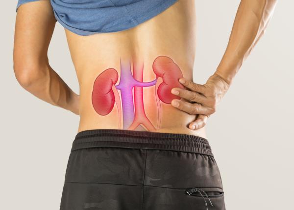 transplant de rinichi de porc la om o speranta pentru milioane de oameni ce au reusit medicii din china