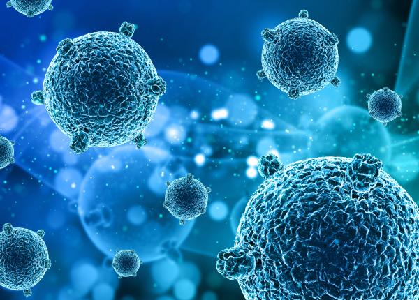 hpv asociat si cu bolile cardiovasculare hpv asociat si cu bolile cardiovasculare