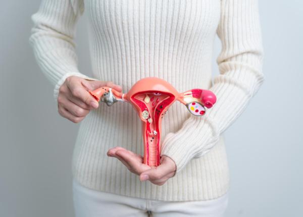 lucrul important pe care trebuie sa il stii despre fibroamele uterine dr emel nuraltay lucrul important pe care trebuie sa il stii despre fibroamele uterine dr emel nuraltay