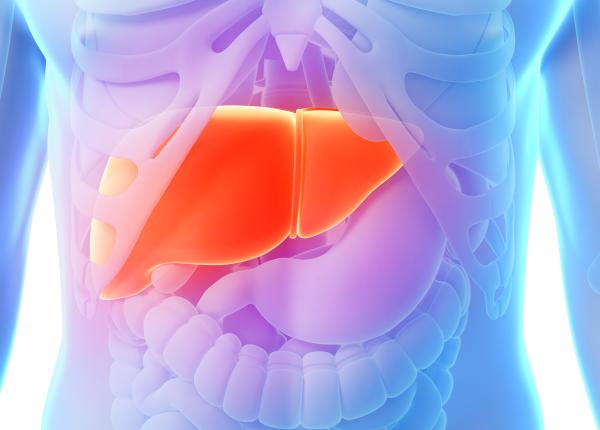 primul transplant de ficat de porc la om un pas spre viitorul xenotransplanturilor primul transplant de ficat de porc la om un pas spre viitorul xenotransplanturilor