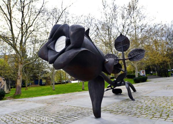 un monument dedicat donatorilor de organe si pacientilor transplantati inaugurat in parcul ior