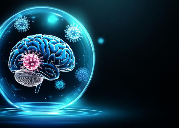 compusul natural care previne degradarea creierului ii ofera un scut protector kaempferolul compusul natural care previne degradarea creierului ii ofera un scut protector kaempferolul