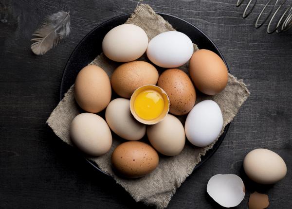 ce se intampla daca mananci zilnic oua oul sursa excelenta de proteine si vitamine esentiale ce se intampla daca mananci zilnic oua oul sursa excelenta de proteine si vitamine esentiale
