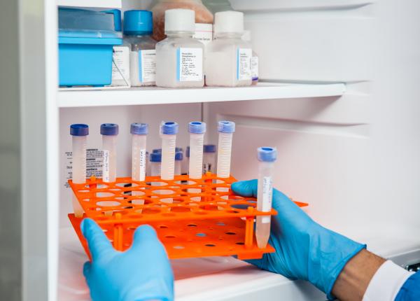 primul studiu clinic pentru un vaccin care nu necesita refrigerare lansat de marea britanie primul studiu clinic pentru un vaccin care nu necesita refrigerare lansat de marea britanie