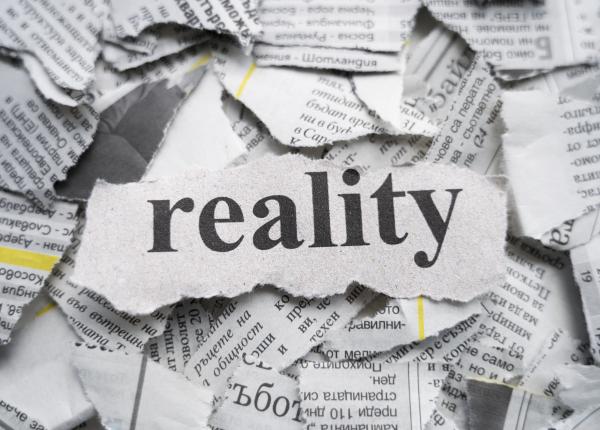 realitate si fictiune realitate si fictiune