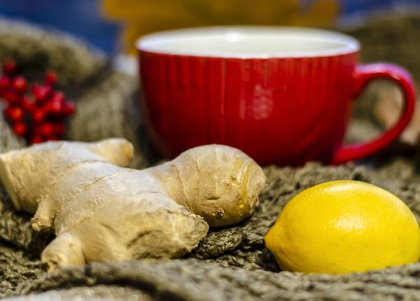 ghimbirul remediul natural pentru migrene cum sa l folosesti corect pentru efecte rapide ghimbirul remediul natural pentru migrene cum sa l folosesti corect pentru efecte rapide
