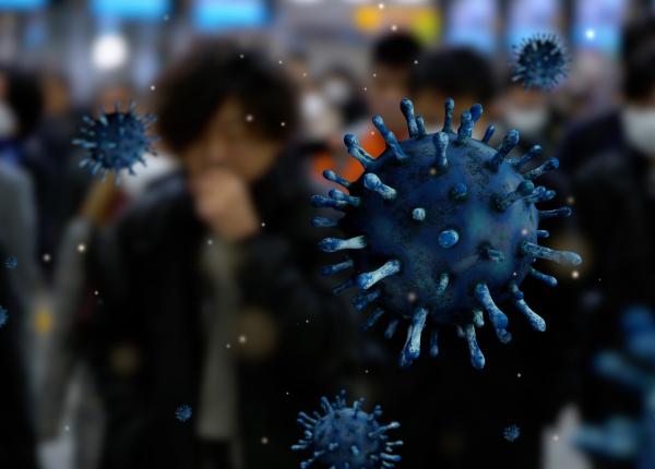 europa se confrunta cu cea mai grava epidemie de febra aftoasa de la inceputul secolului avertizeaza fao europa se confrunta cu cea mai grava epidemie de febra aftoasa de la inceputul secolului avertizeaza fao