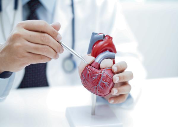 histerectomia precoce asociata cu un risc cardiovascular crescut histerectomia precoce asociata cu un risc cardiovascular crescut