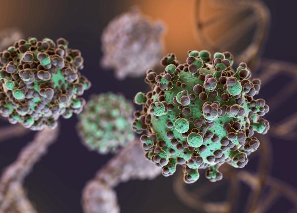 deficitul global de omega 3 factor major de risc pentru sanatatea publica