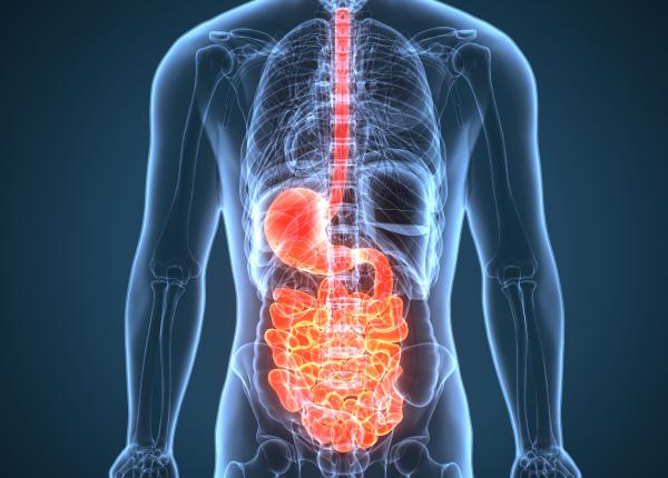 colibactina toxina bacteriana care lasa amprente genetice si declanseaza cancerul colorectal la tineri colibactina toxina bacteriana care lasa amprente genetice si declanseaza cancerul colorectal la tineri