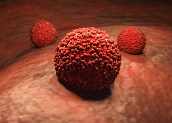 rosiile si cartofii pot inhiba cresterea celulelor canceroase rosiile si cartofii pot inhiba cresterea celulelor canceroase