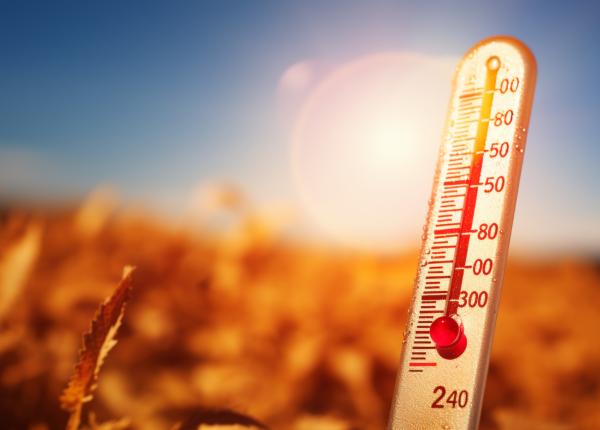 trucul simplu care iti racoreste casa in timpul caniculei nu ai nevoie de aer conditionat