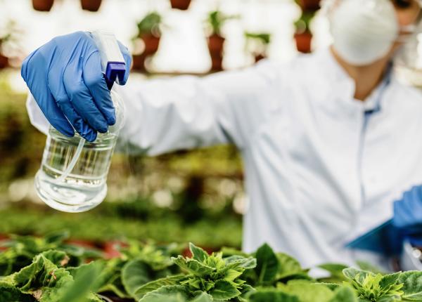 alimente comune contaminate cu pesticide interzise ce trebuie sa stii