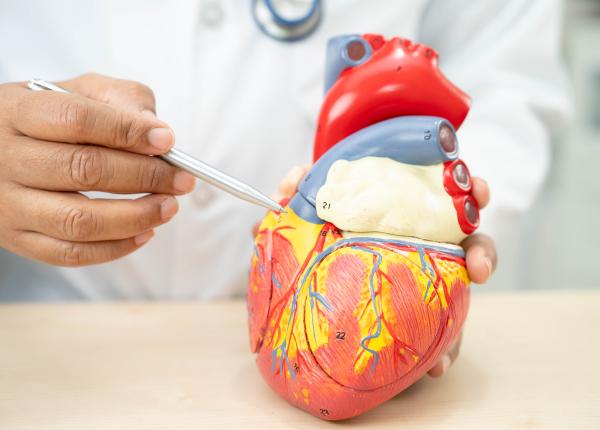 tratamentul care repara inima afectata de colesterol tratamentul care repara inima afectata de colesterol