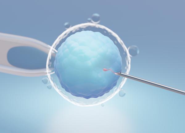 cand se opteaza pentru fertilizarea in vitro in locul inseminarii artificiale dr lucia luchian sanse de reusita diferite cand se opteaza pentru fertilizarea in vitro in locul inseminarii artificiale dr lucia luchian sanse de reusita diferite