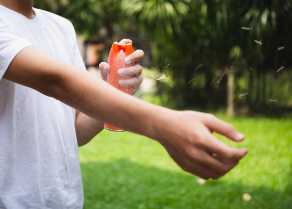 cum sa scapi de tantari solutii naturale de facut acasa