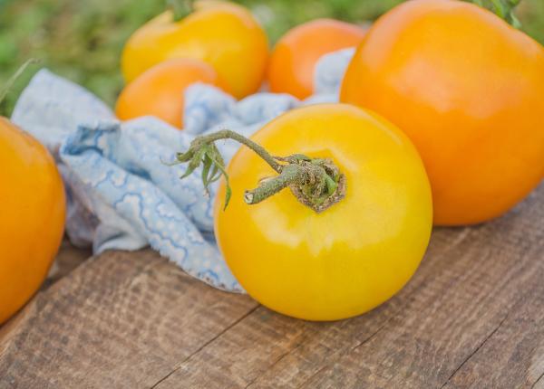 rosia galbena super alimentul dulce care iti poate salva viata cu ce difera fata de rosia clasica