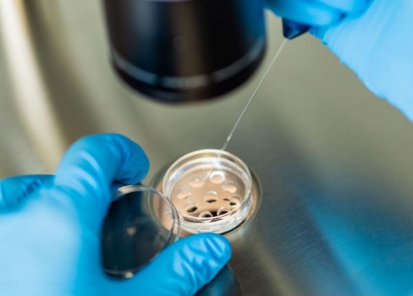 este fiv un tratament 100prc eficient adevarul despre rata de succes