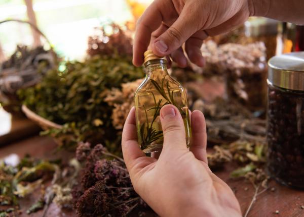 remedii medievale redescoperite inspira medicina alternativa moderna