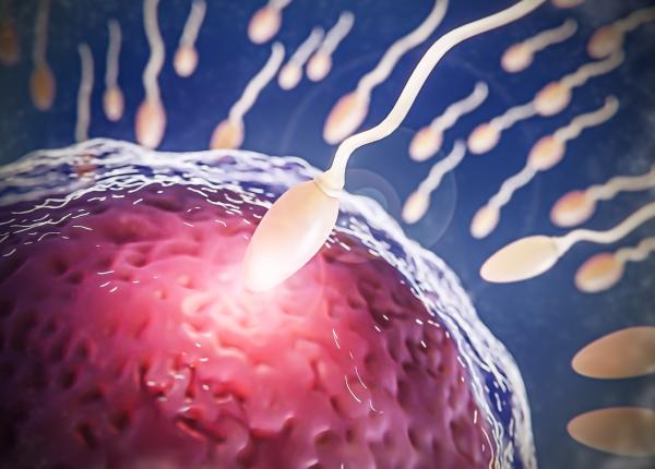 diferenta dintre fertilizarea in vitro si inseminarea intrauterina dr lucia luchian explica