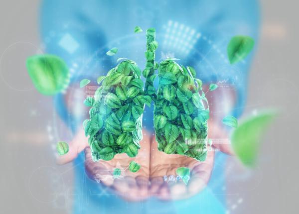 vara asta fii tu cea mai buna alegere a ta vara asta fii tu cea mai buna alegere a ta