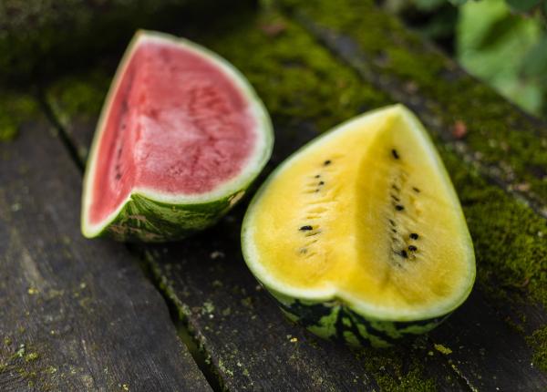 ce este de fapt pepenele verde cu miez galben ce este de fapt pepenele verde cu miez galben