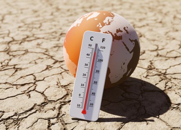 5 boli provocate de caldura ce se intampla in corp cand e cald si ce organe sunt atacate 5 boli provocate de caldura ce se intampla in corp cand e cald si ce organe sunt atacate
