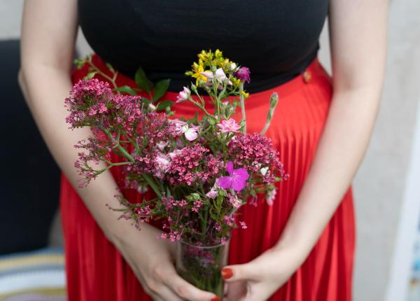 5 plante medicinale care ajuta la echilibrarea hormonilor 5 plante medicinale care ajuta la echilibrarea hormonilor