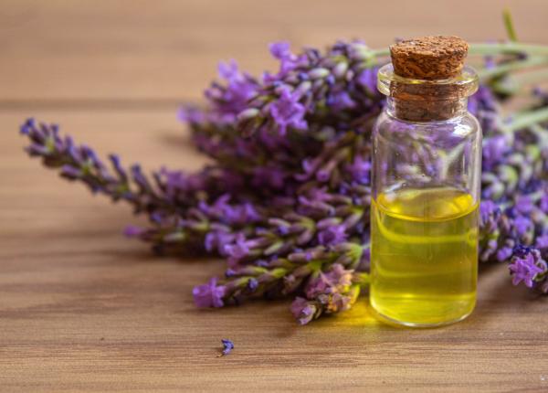 uleiul de lavanda poate imbunatati somnul si reduce anxietatea dupa operatiile pe creier uleiul de lavanda poate imbunatati somnul si reduce anxietatea dupa operatiile pe creier