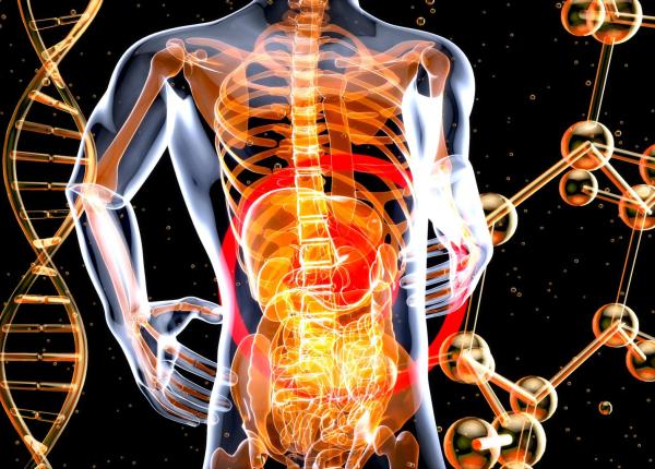 din ce e facut corpul uman raspunsul care te va surprinde 2 substante activeaza cancerul din ce e facut corpul uman raspunsul care te va surprinde 2 substante activeaza cancerul