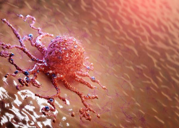 cancerul accelereaza imbatranirea organismului cancerul accelereaza imbatranirea organismului