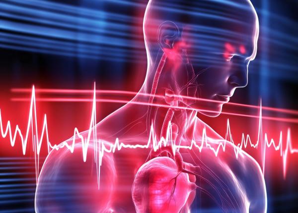 jumatate dintre atacurile de cord nu sunt din cauza arterelor care este cauza infarctului jumatate dintre atacurile de cord nu sunt din cauza arterelor care este cauza infarctului
