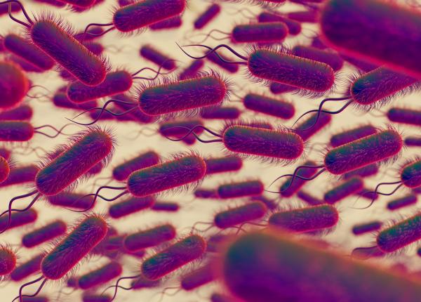 peste 9 500 de germani infectati cu sifilis in 2024 peste 9 500 de germani infectati cu sifilis in 2024