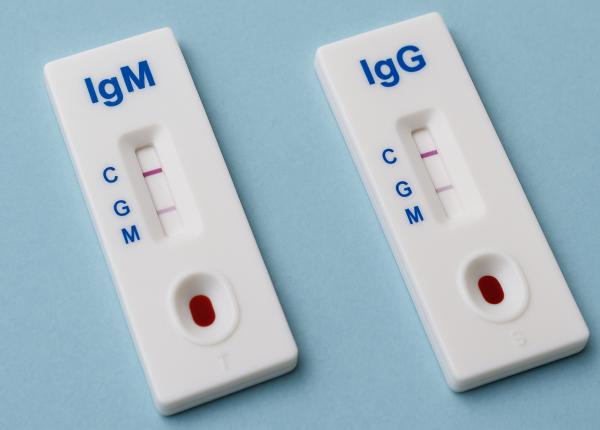 igm si igg care e diferenta si ce inseamna fiecare igm si igg care e diferenta si ce inseamna fiecare