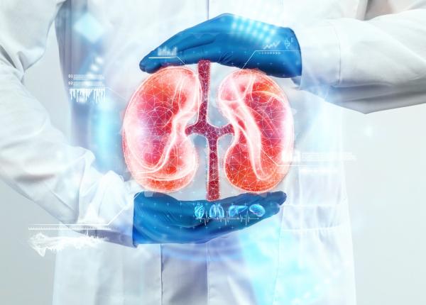 premiera medicala un rinichi de grupa a transformat in grupa 0 si transplantat cu succes au creat primul rinichi universal premiera medicala un rinichi de grupa a transformat in grupa 0 si transplantat cu succes au creat primul rinichi universal