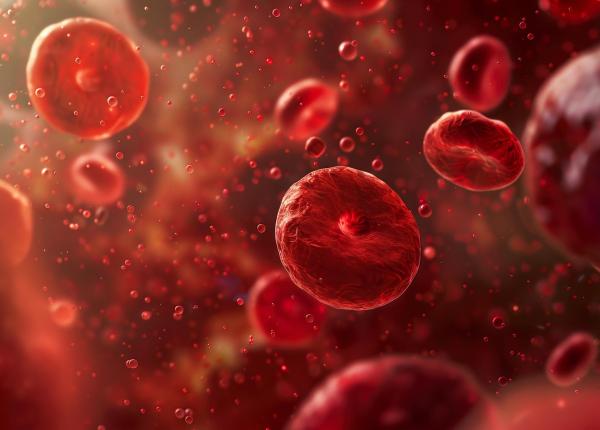 suplimentul care combate anemia fara efecte digestive neplacute suplimentul care combate anemia fara efecte digestive neplacute