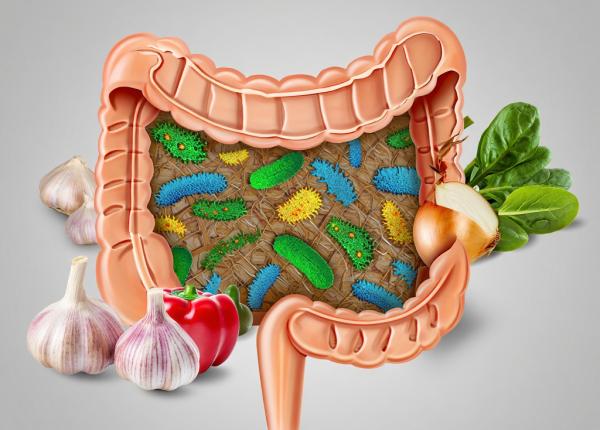 un simplu ingredient din bucatarie iti reface flora intestinala natural