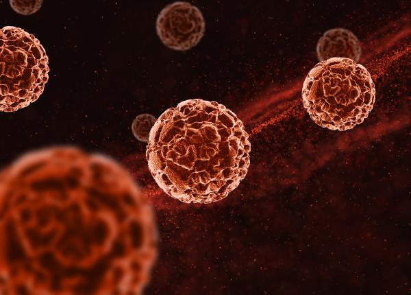 tratamentul care distruge cancerul de vezica urinara la 82 dintre pacienti