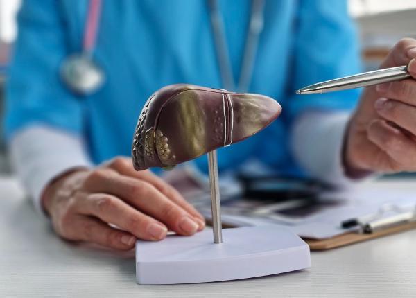 diabetul si sanatatea ficatului care sunt riscurile interconectate