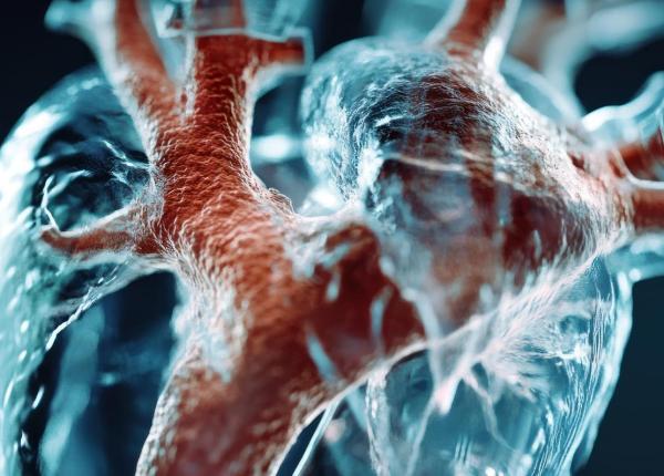 stenoza aortica simptome diagnostic si tratamente moderne prof dr horatiu moldovan incepe sa oboseasca face sincope