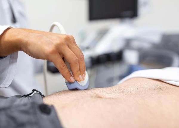 ce organe vede o ecografie abdominala